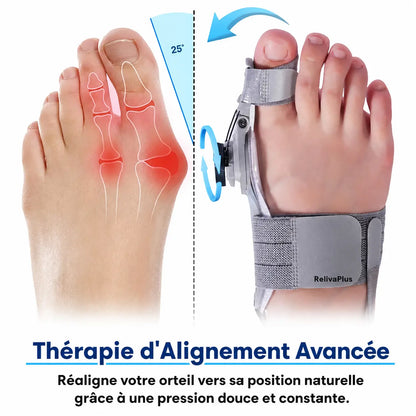 Correcteur d'Oignon RelivaPlus™