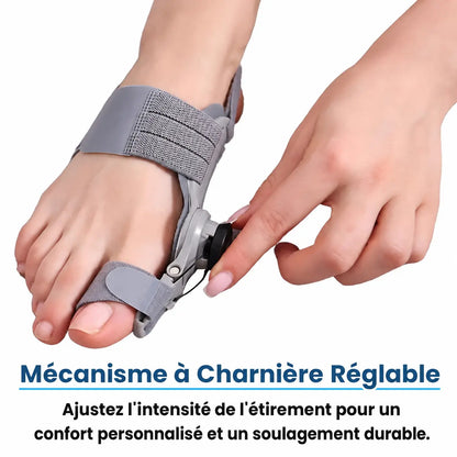 Correcteur d'Oignon RelivaPlus™